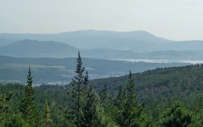 My Photos Look Flat or Boring