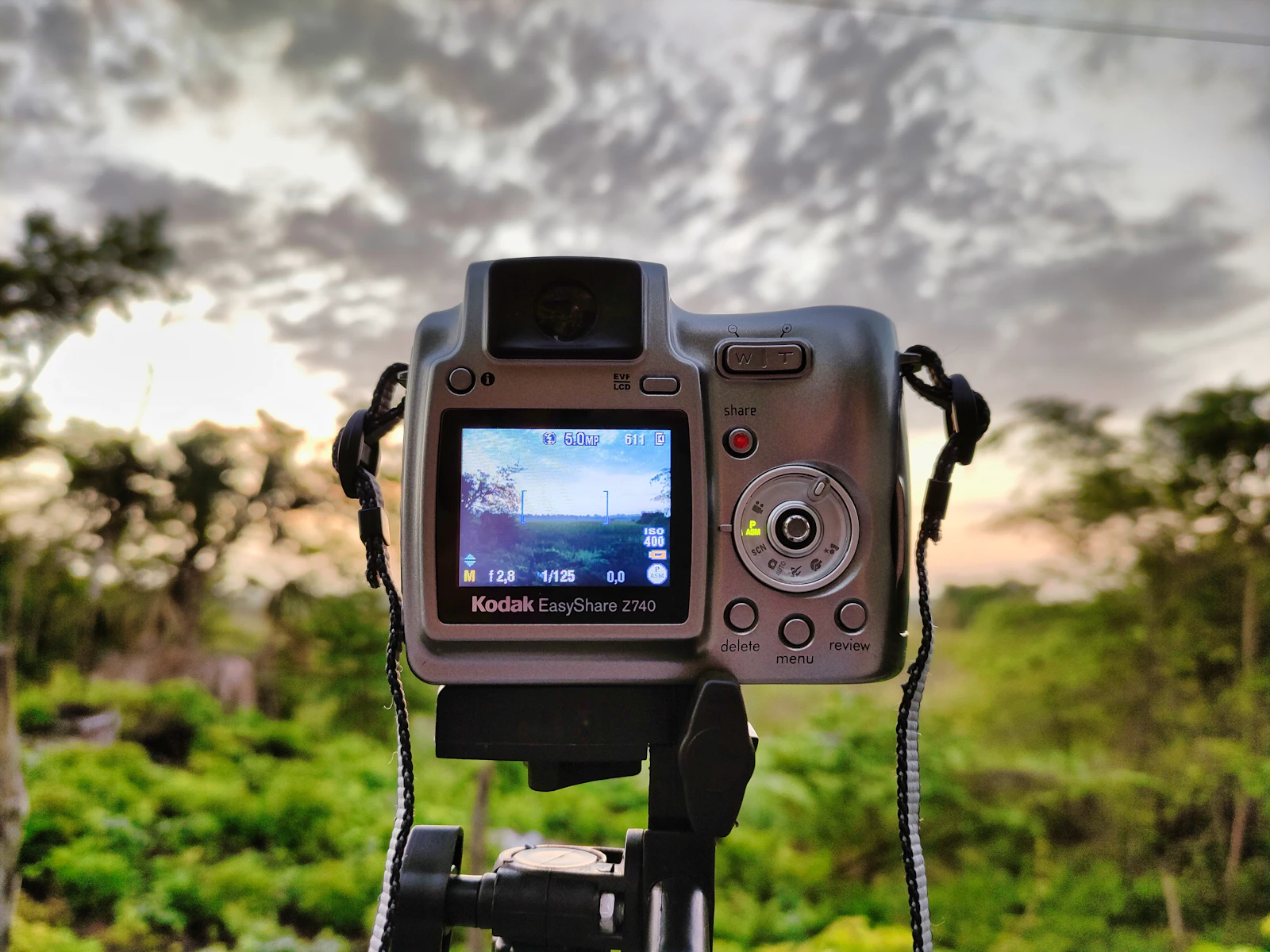 How to Read Your Camera's Histogram