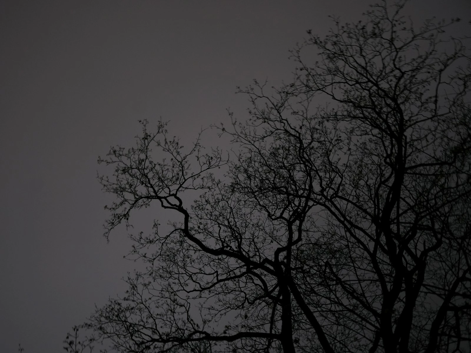 How to Fix Underexposed Photos in Lightroom