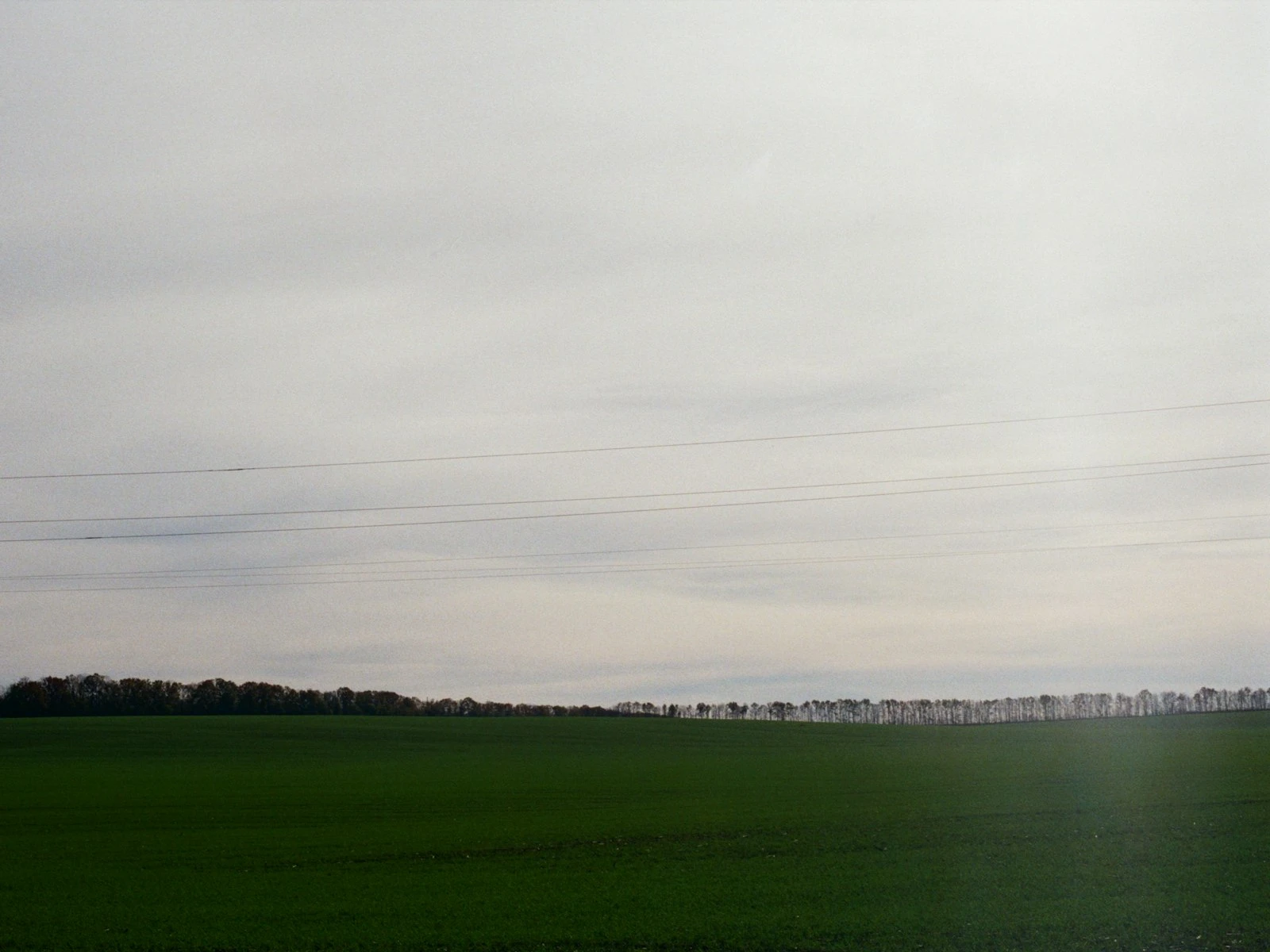 How to Straighten and Crop in Lightroom