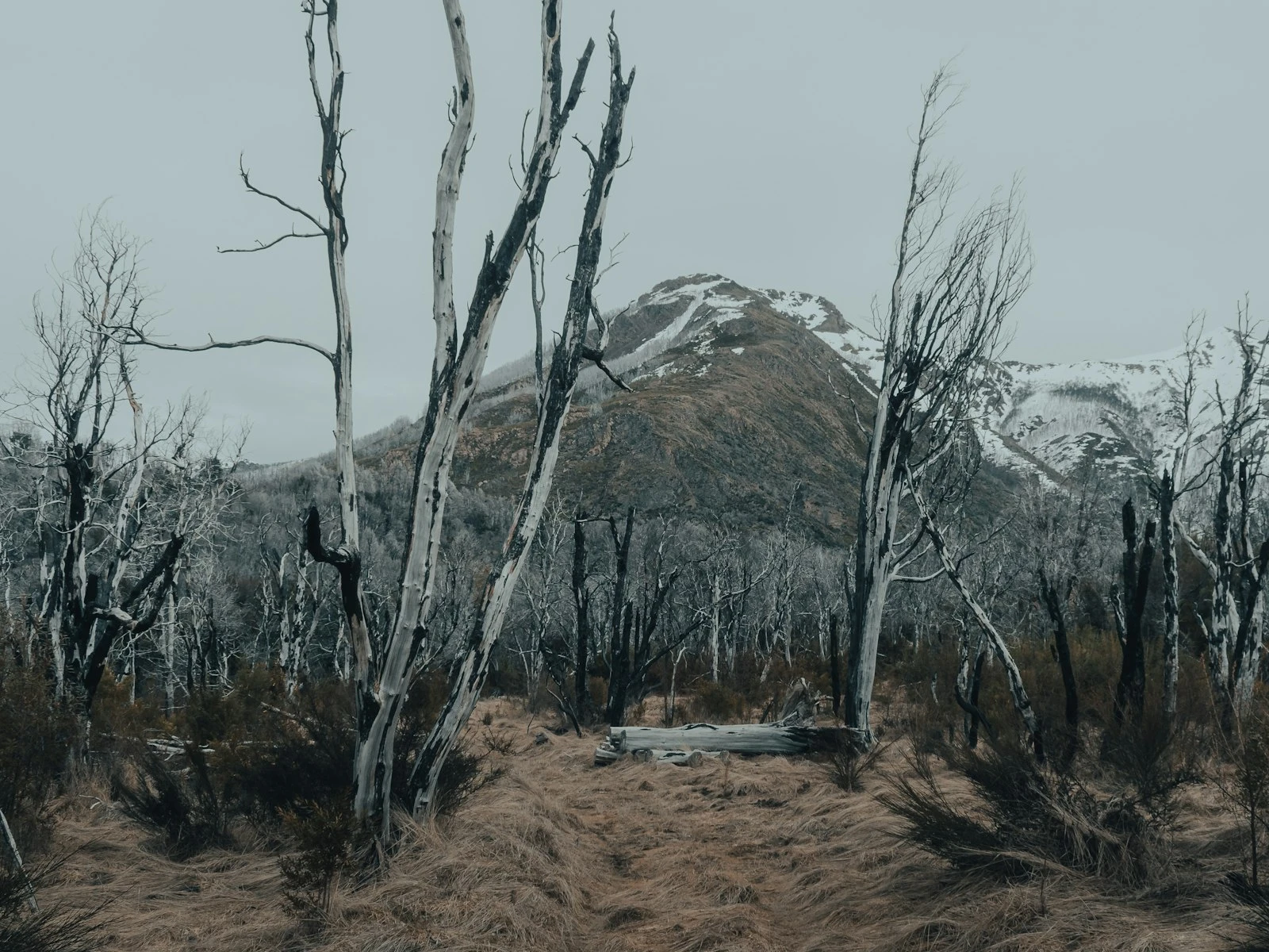 Editing Landscape Photos Without Overdoing It