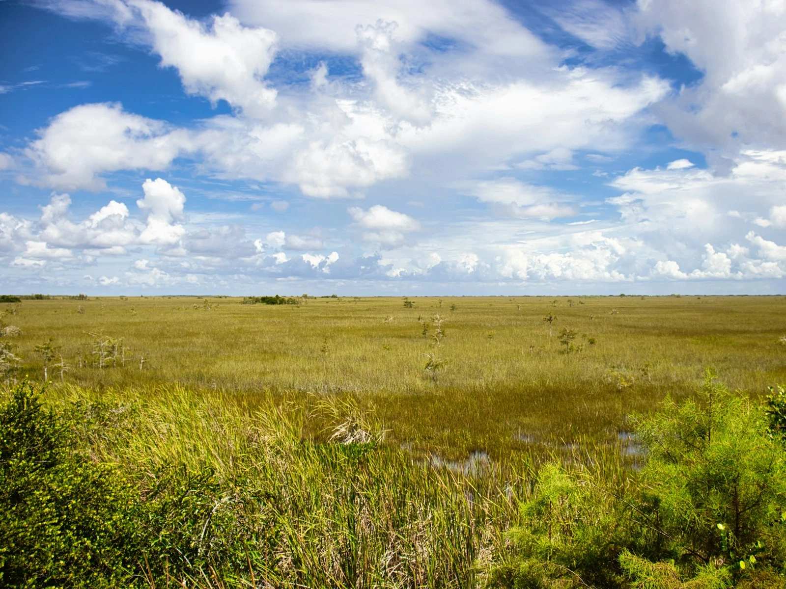 Why Your Landscape Photos Look Flat (And How to Fix It)