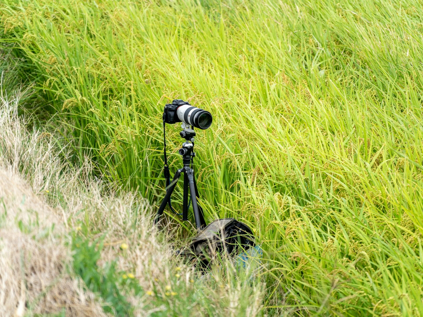 How to Get Everything in Focus in Landscape Shots