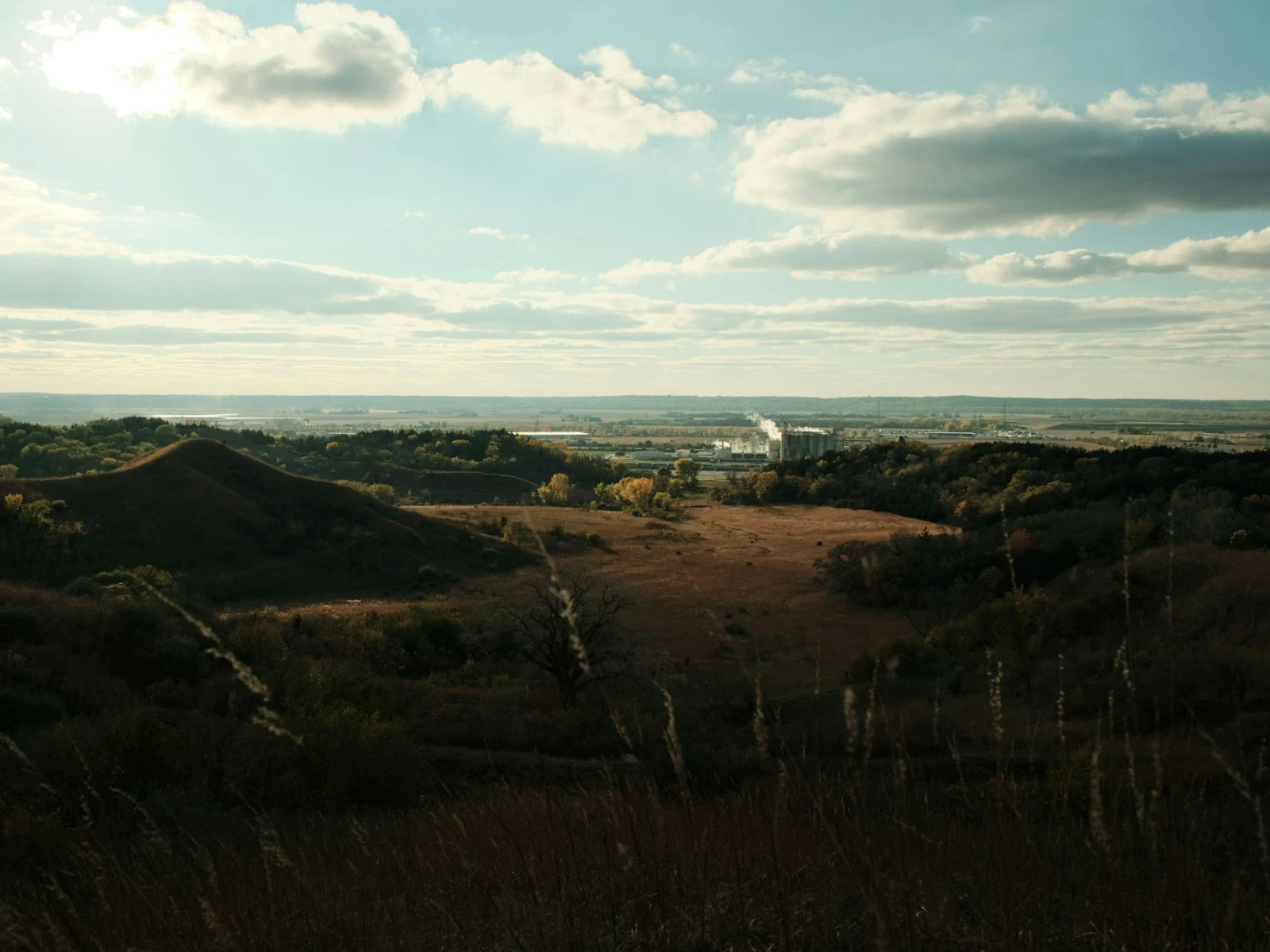 Landscape Photography Tips for Beginners: Your First Steps to Stunning Scenes