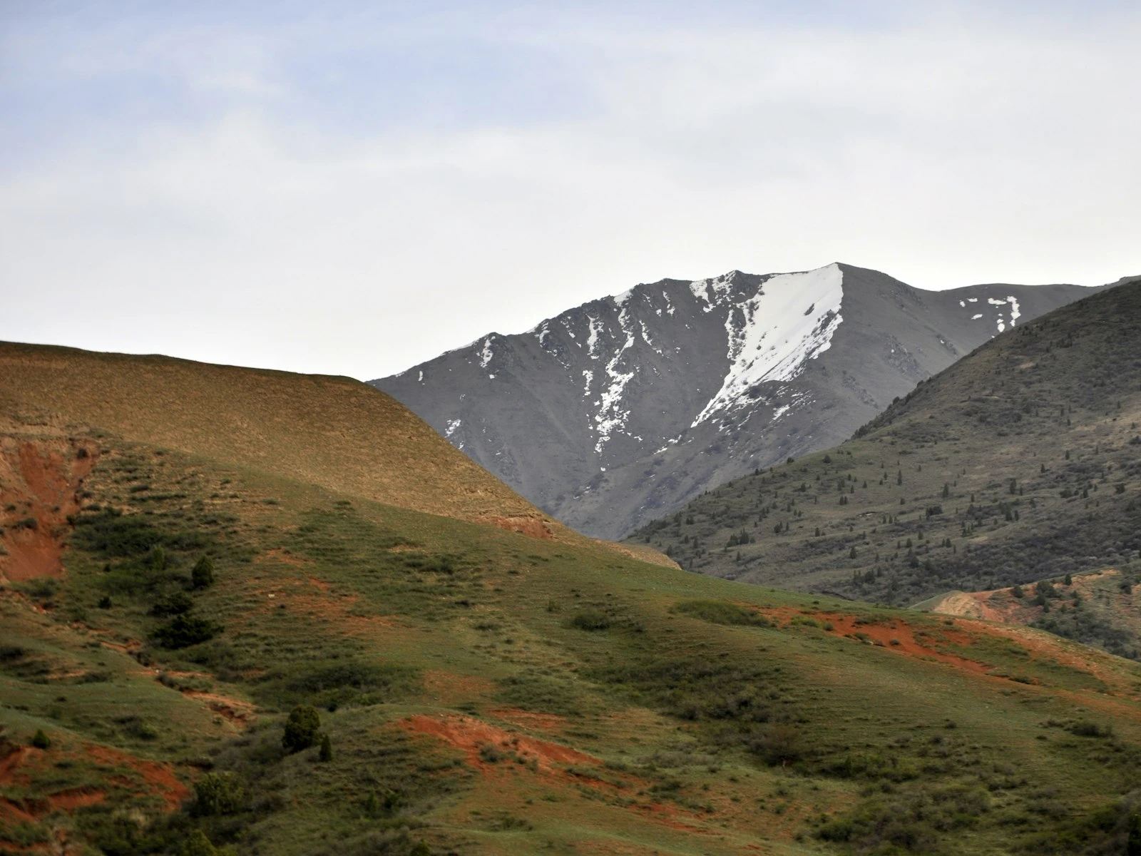 When You Need a Tripod (And When You Don't)