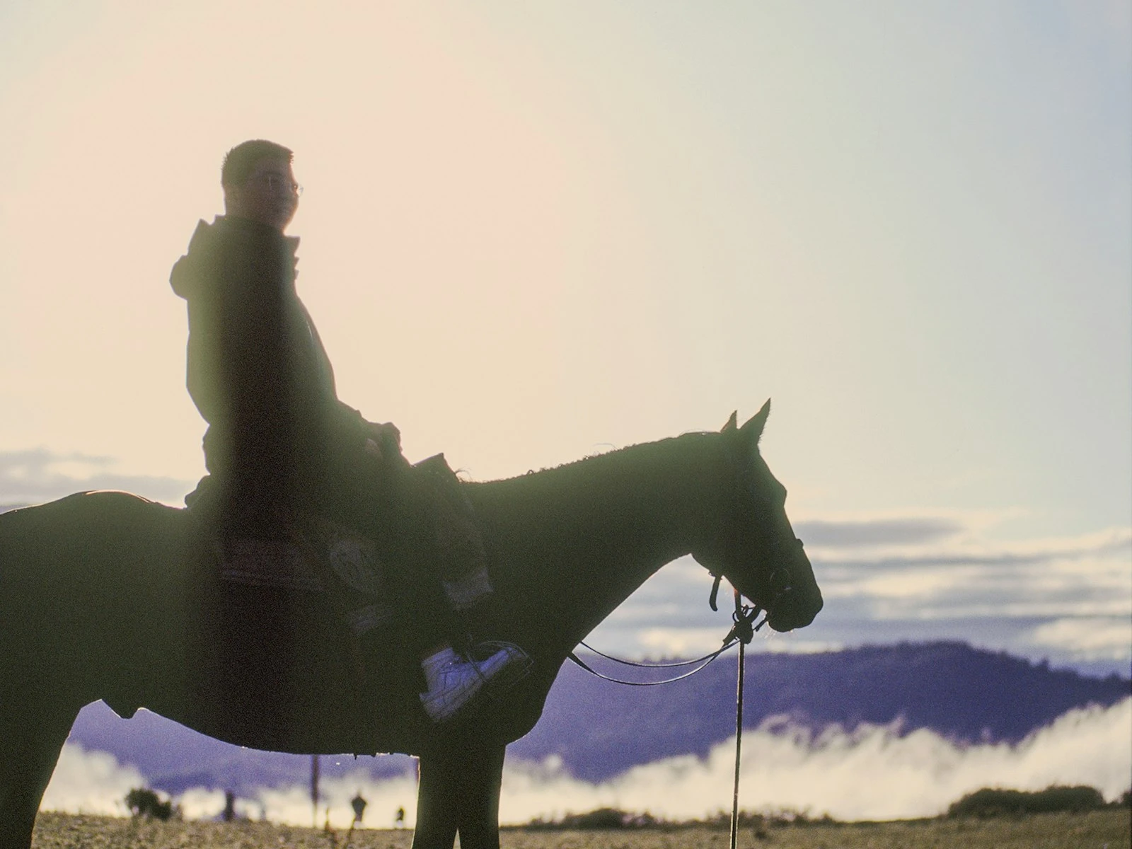 Backlit Photography: How to Shoot Into the Light