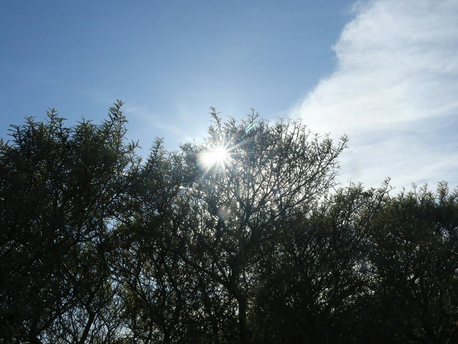 How to Photograph in Bright Midday Sun