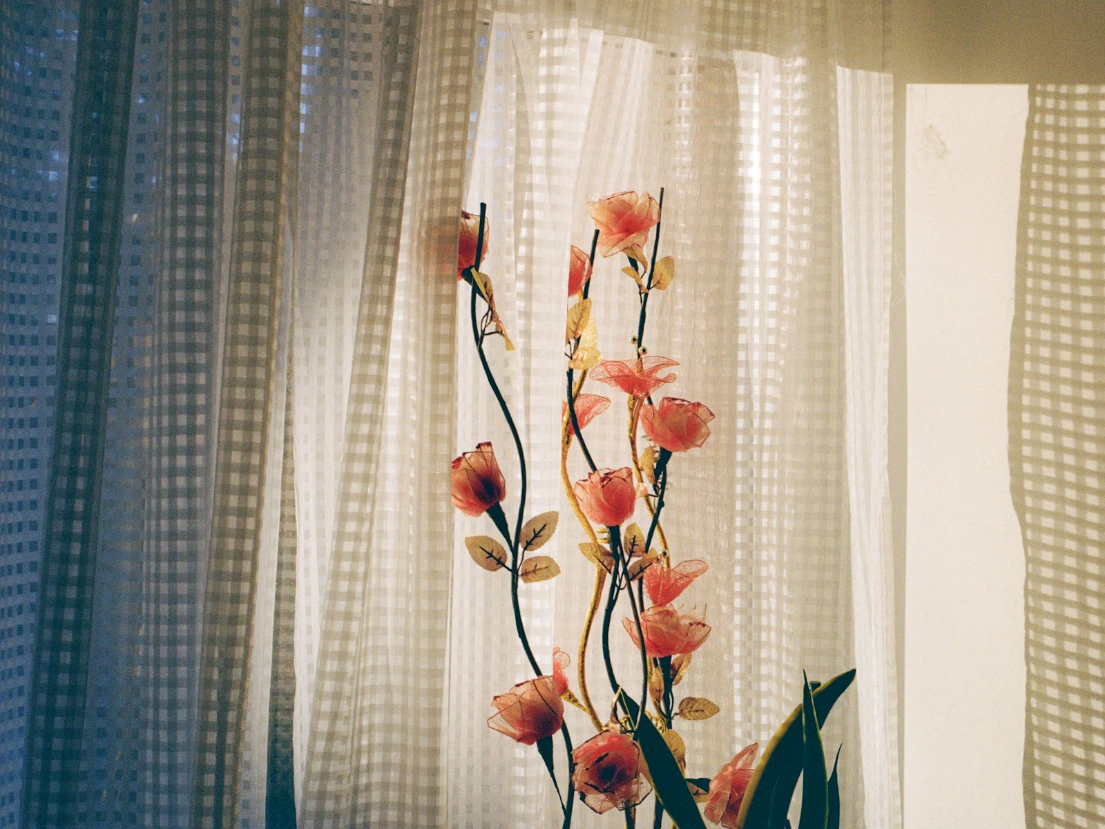 Natural Light Photography: A Practical Guide