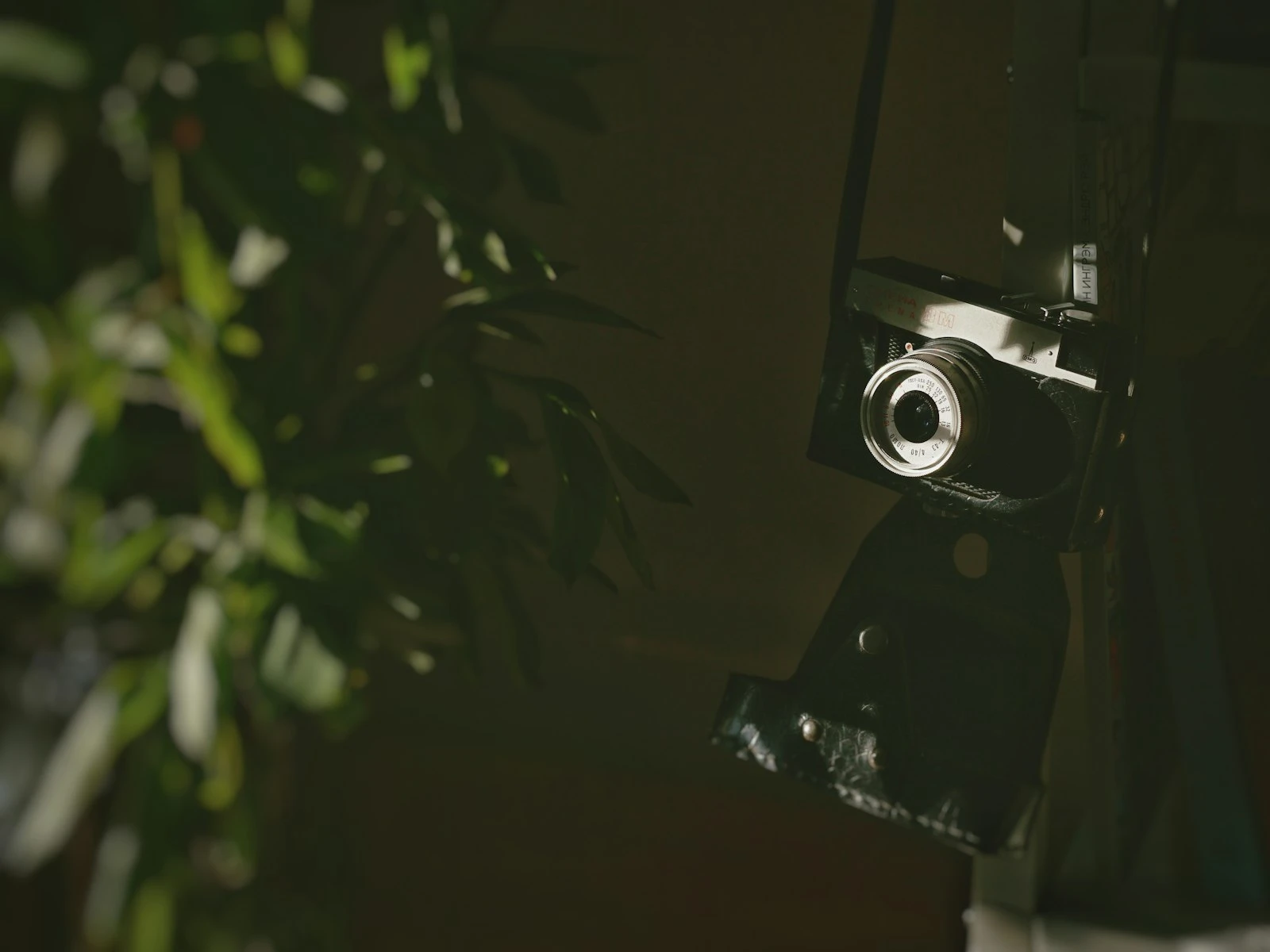 Why Autofocus Struggles in Low Light