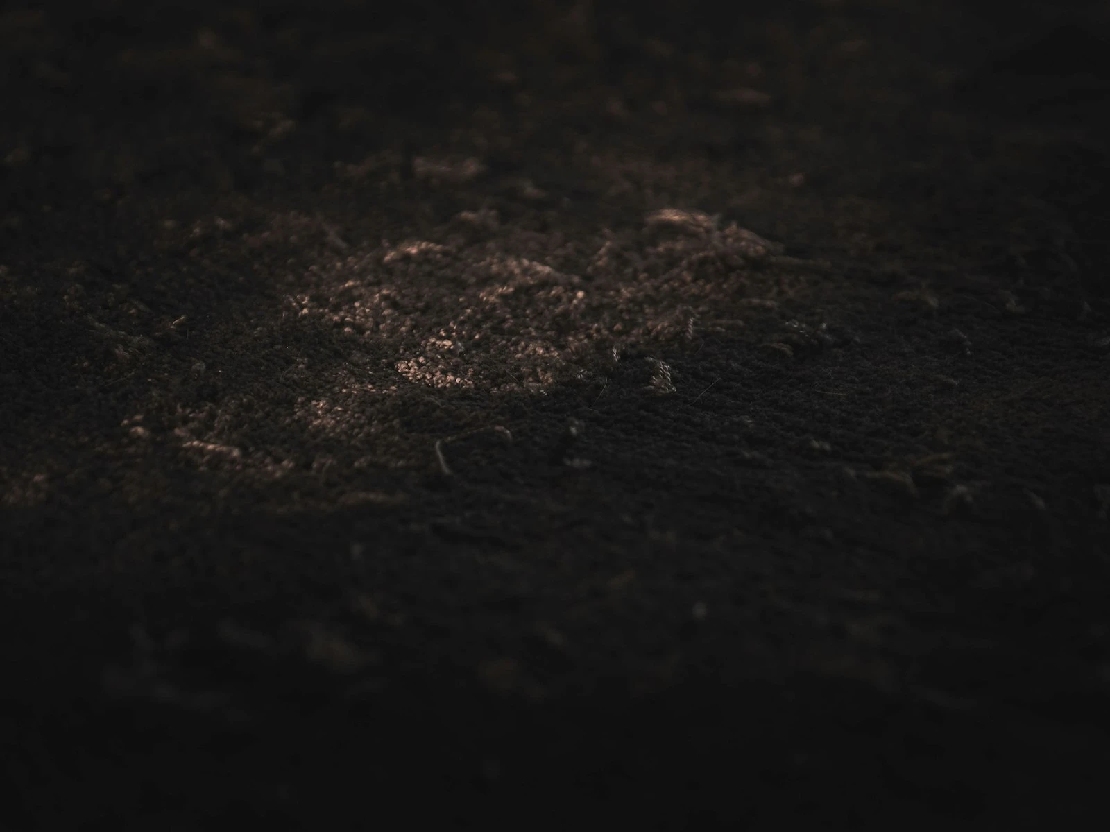 Why Your Low Light Photos Are Grainy or Blurry