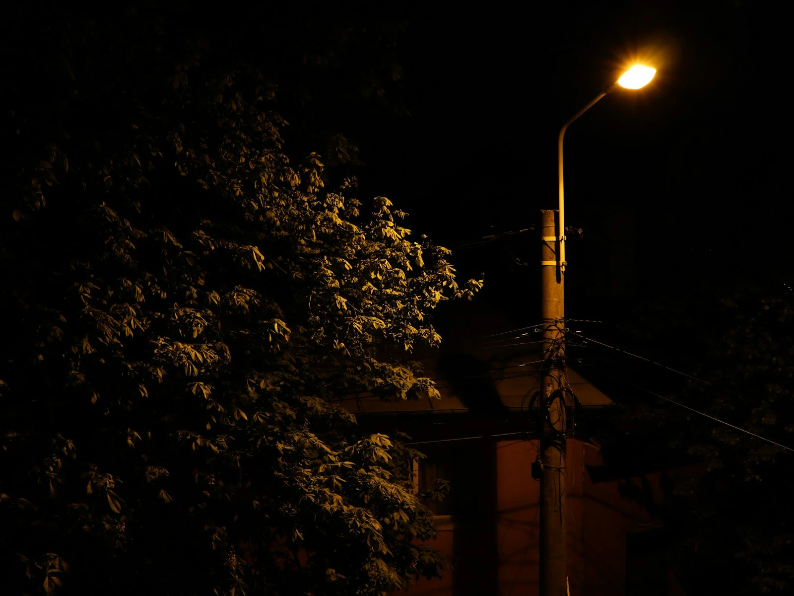 Camera Settings for Low Light: The Tradeoffs