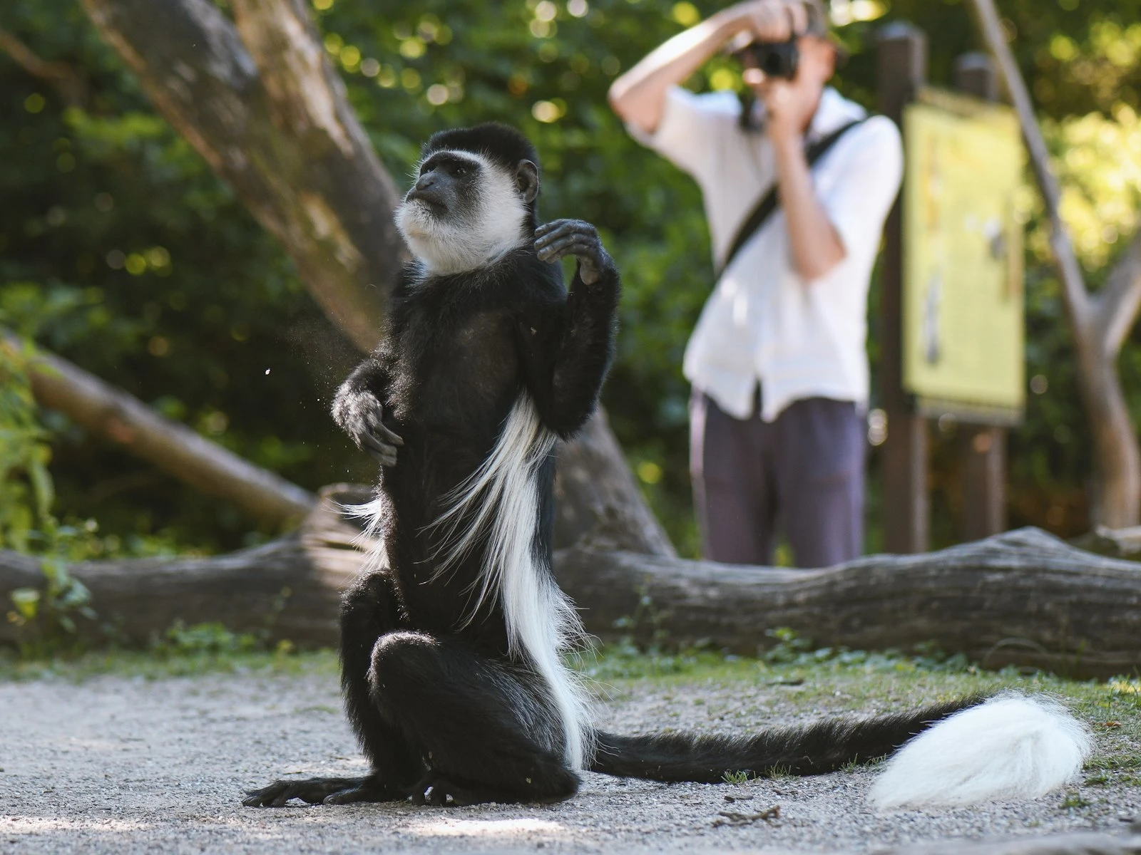 How to Figure Out What's Wrong With a Photo