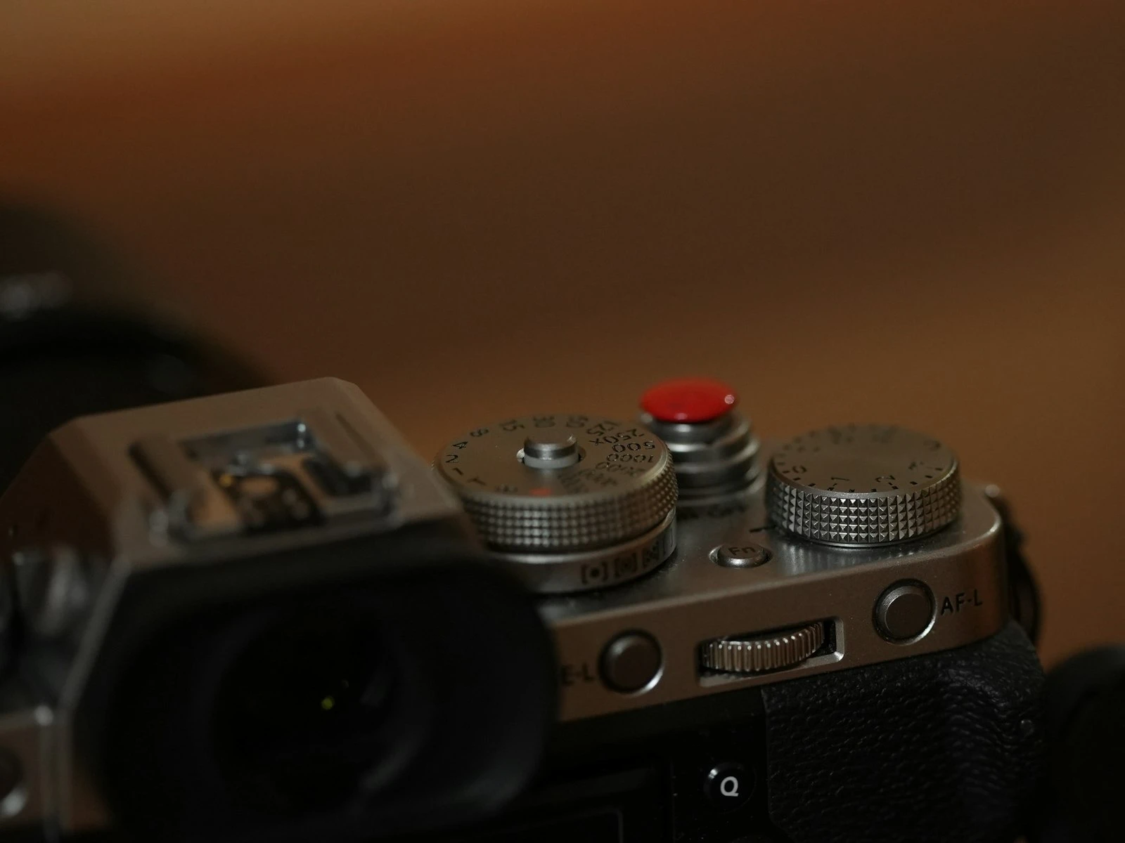 Back Button Focus: What It Is and Why Photographers Use It