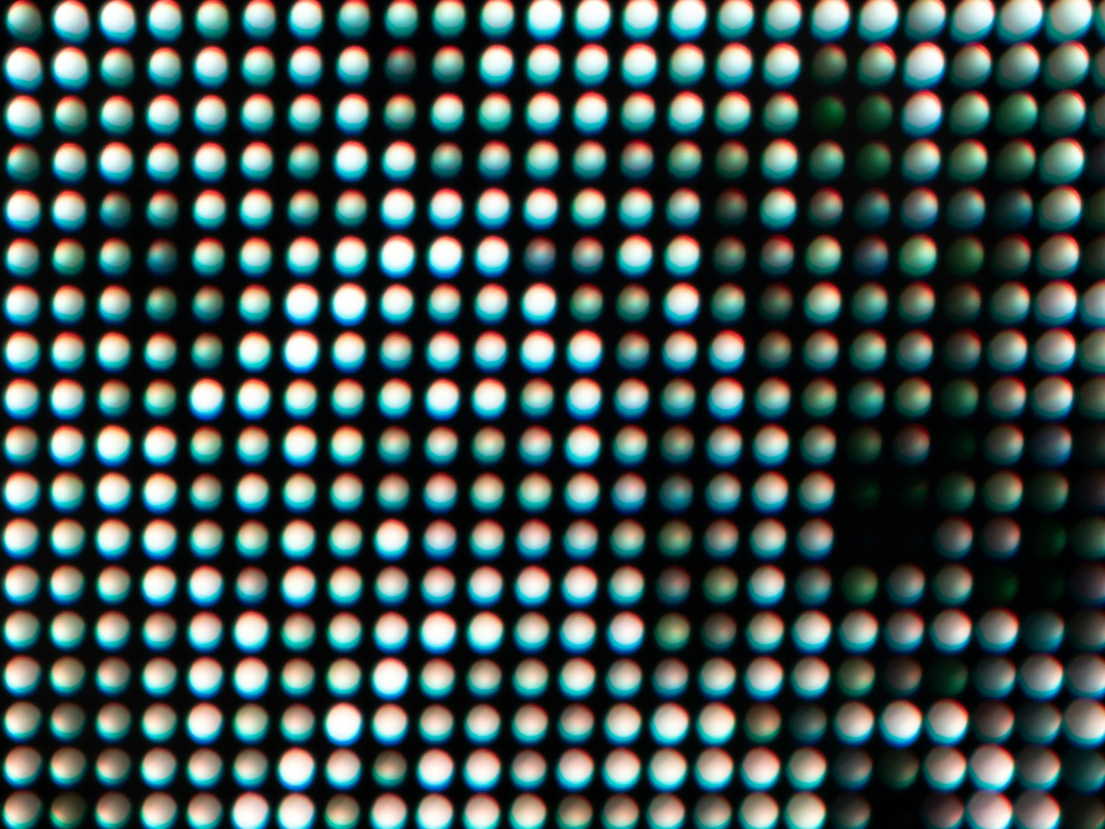 Why Your Subject Is Out of Focus (Even When You Nailed It)