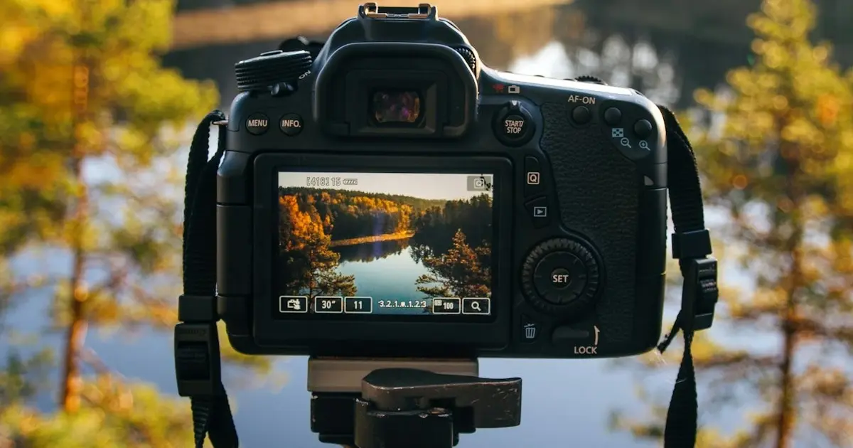 Light Camera Test How to Read Your Camera's Light Meter | DailyPhotoTips